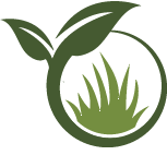 San Jose Landscaping Service