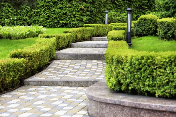 Backyard Remodeling in San Jose