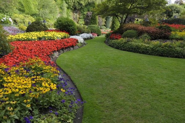 Landscaping Maintenance in San Jose