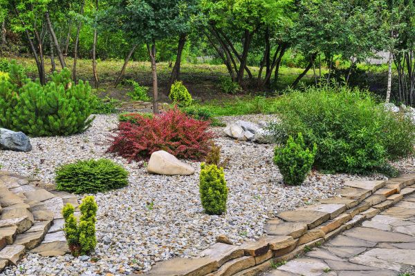 Rock Landscaping in San Jose