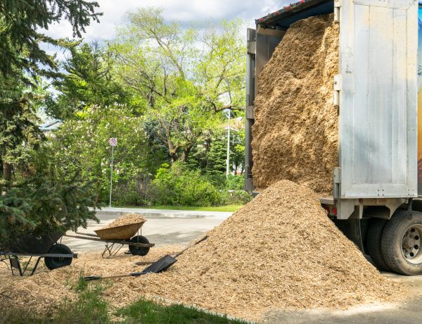 Wood Chips Delivery in San Jose