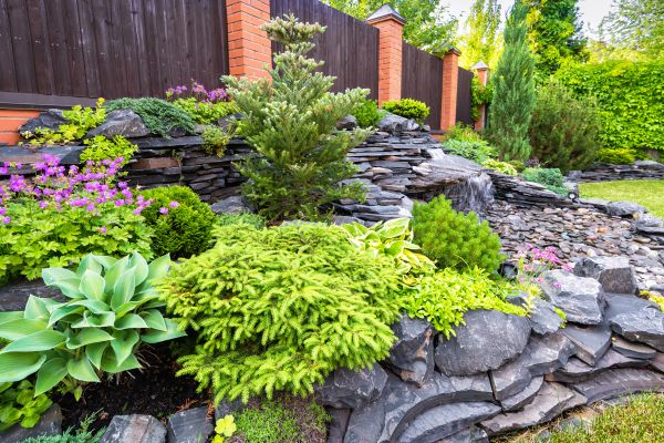 Landscape Remodeling in San Jose