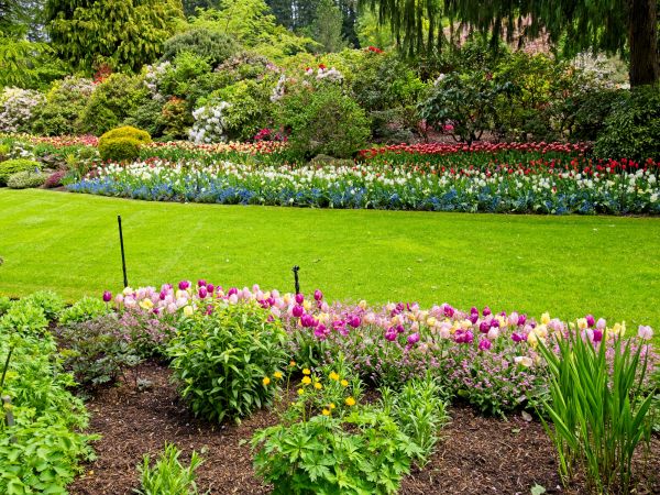 Residential Landscape Design in San Jose