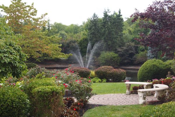Courtyard Design Service in San Jose
