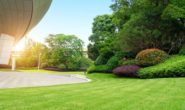 Business Landscape Design in San Jose
