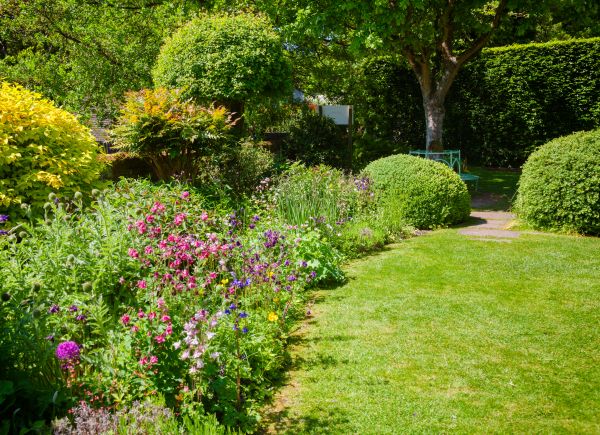 Yard Landscaping Service in San Jose