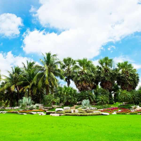 Tropical Landscaping in San Jose