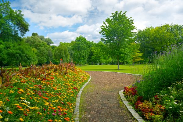 Park Landscaping in San Jose