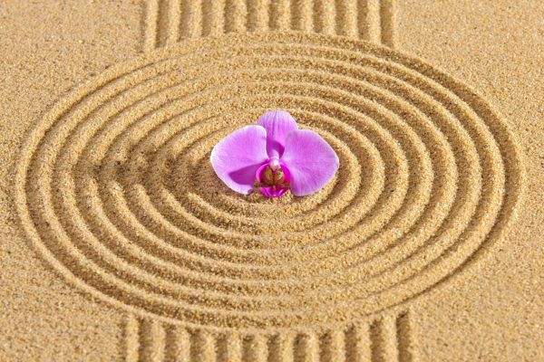 Sand Garden Landscaping in San Jose