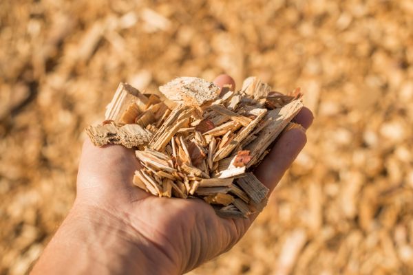 Wood Chips Spreading in San Jose