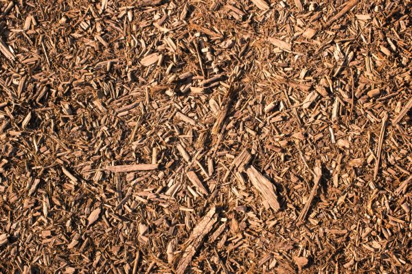 Wood Chips Removal in San Jose