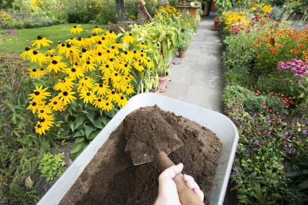 Topsoil Replacement in San Jose
