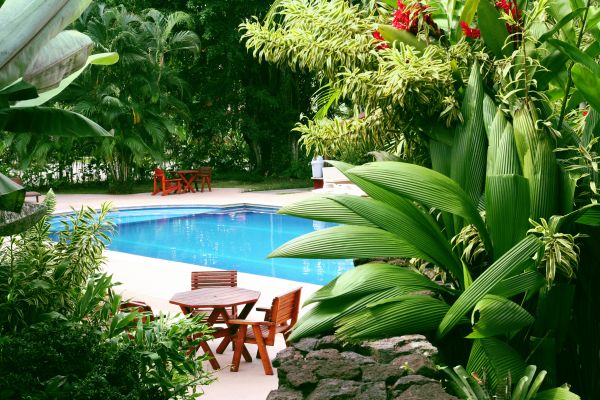 Pool Area Landscaping in San Jose