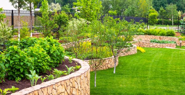 Yard Makeover Service in San Jose