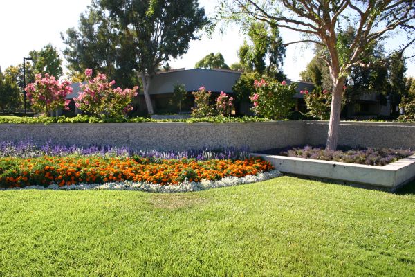 Commercial Landscape Service in San Jose