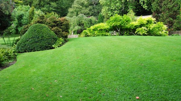 Commercial Landscape Design in San Jose