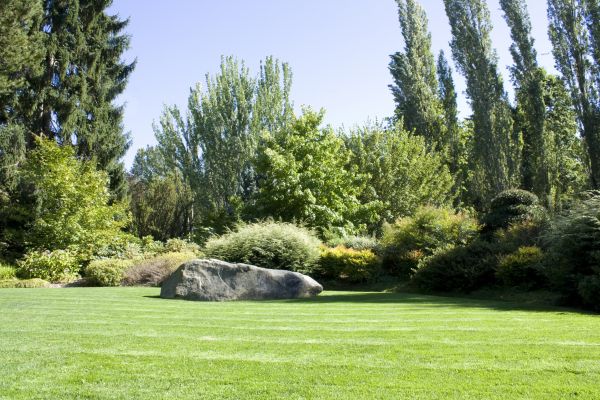 Yard Enlargement in San Jose