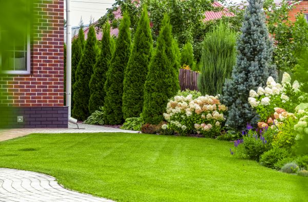 Spring Landscaping in San Jose