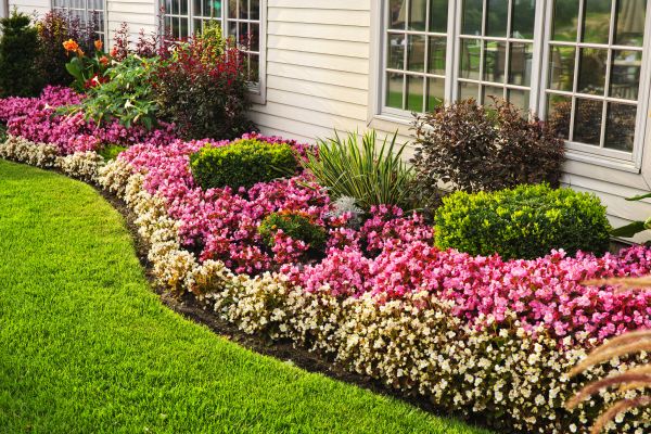 Garden Landscape Design in San Jose