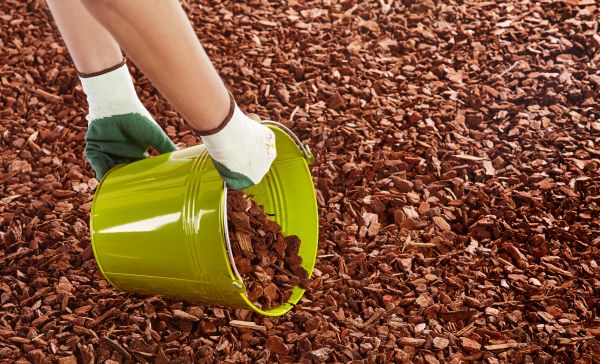 Wood Chip Landscaping in San Jose