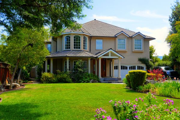 Large Yard Landscaping in San Jose