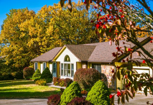 Ranch Landscaping in San Jose