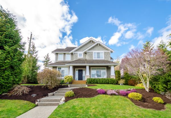 Landscaping Replacement in San Jose