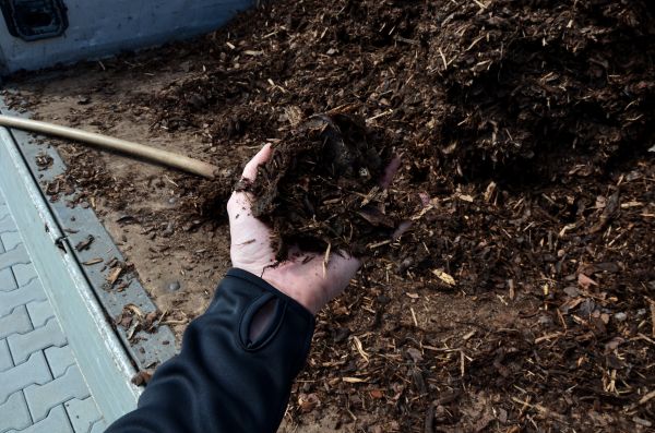 Condo Mulching in San Jose