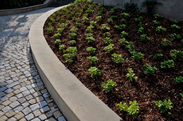 Commercial Mulching in San Jose