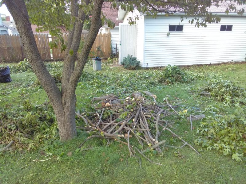 Yard After Leaf Cleanup
