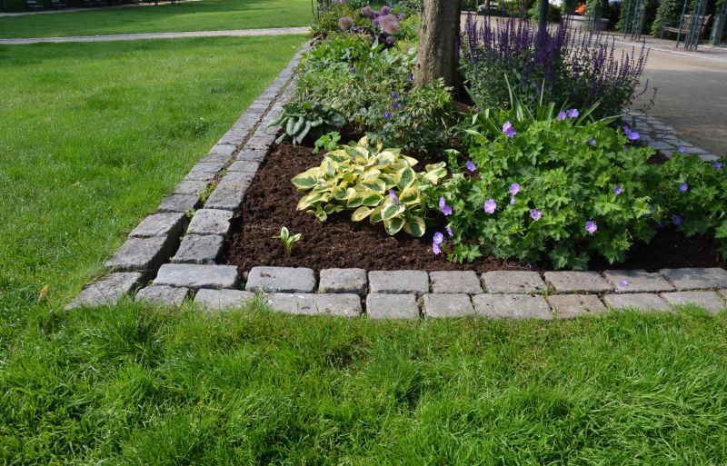 Yard Edging Service